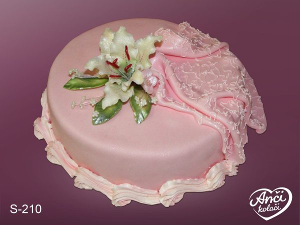 Roze orhideja